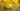 Username